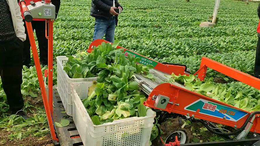 农业农村局蔬菜生产机械化