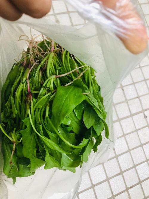 农村一斤50元蔬菜图片