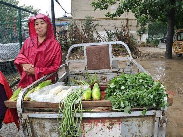 农村大妈在城里卖蔬菜视频