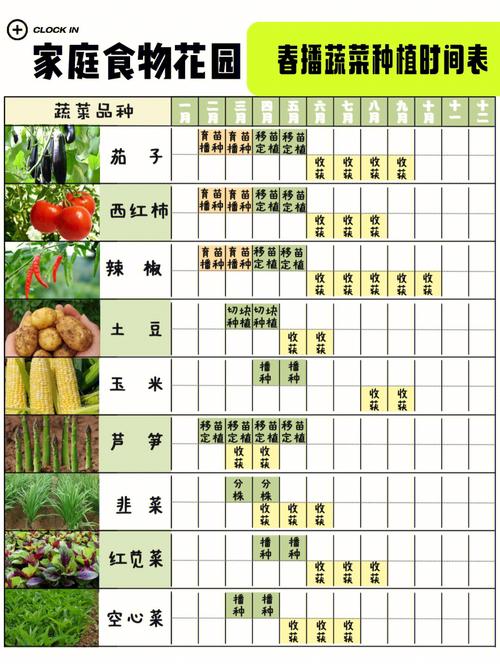 农村种蔬菜时间表