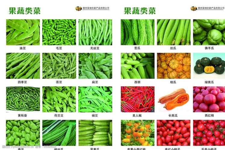 农村蔬菜分类