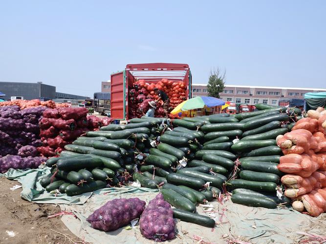 农村蔬菜运到批发市场