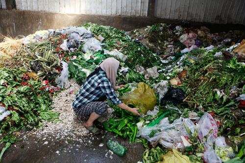 农村运送的蔬菜都是垃圾吗