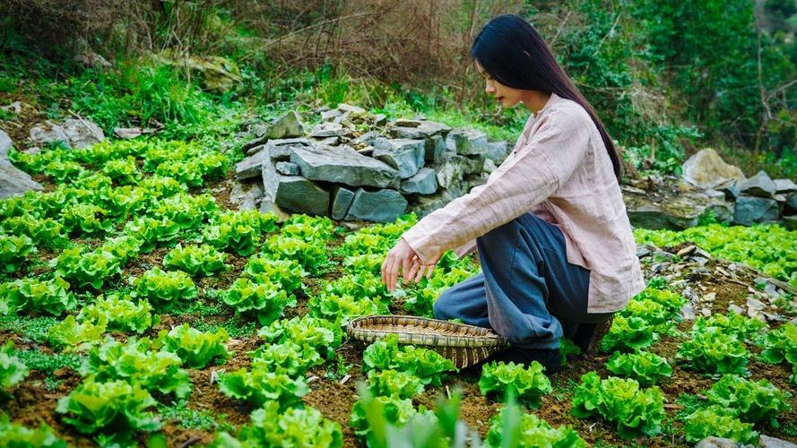广西农村姑娘种植蔬菜图片