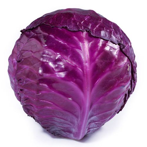 紫色蔬菜大全