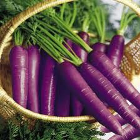紫色蔬菜的营养价值