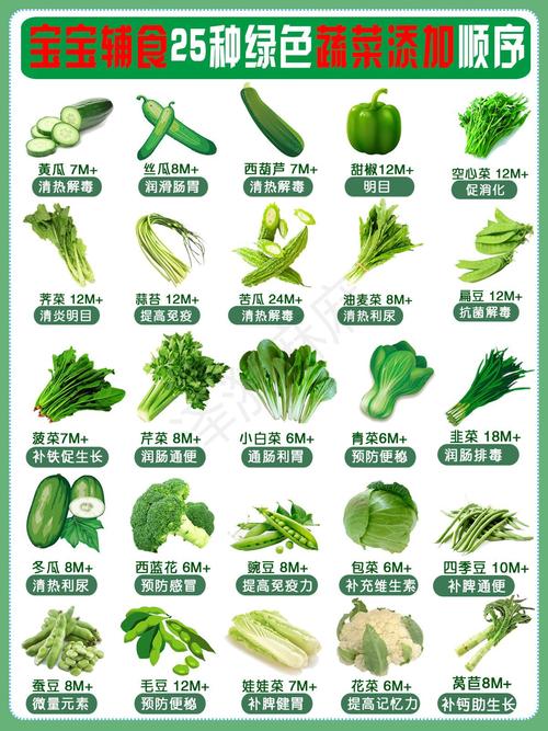 蔬菜有哪些种类名字大全
