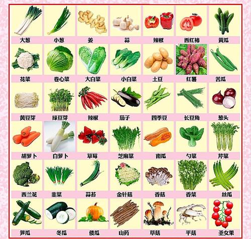 蔬菜的分类有哪些