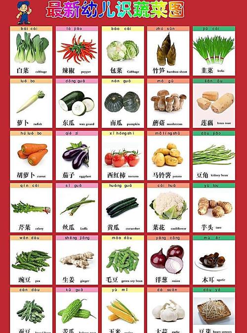 蔬菜的分类6大种类