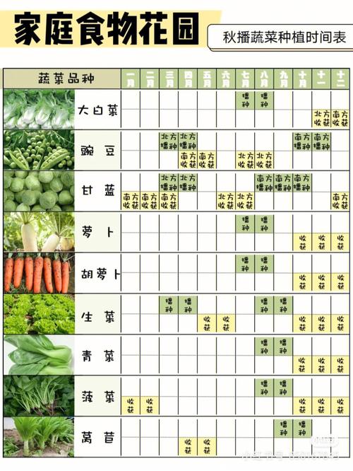 黑龙江农村保存蔬菜时间