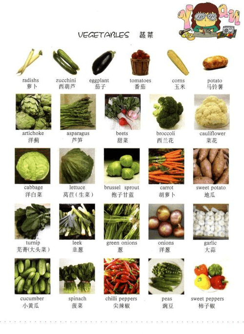 3000种蔬菜名称大全及图片