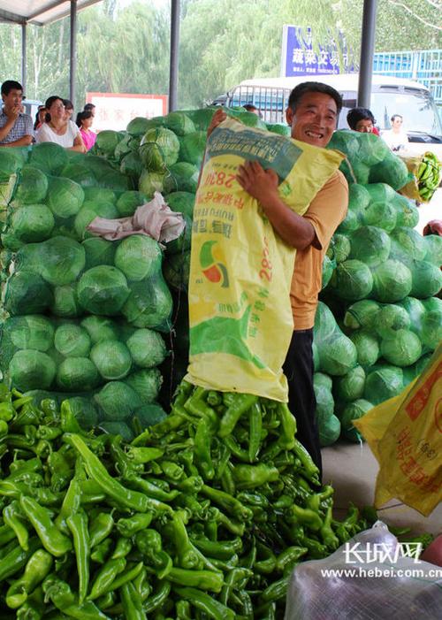 农村网络销售蔬菜的相关图片