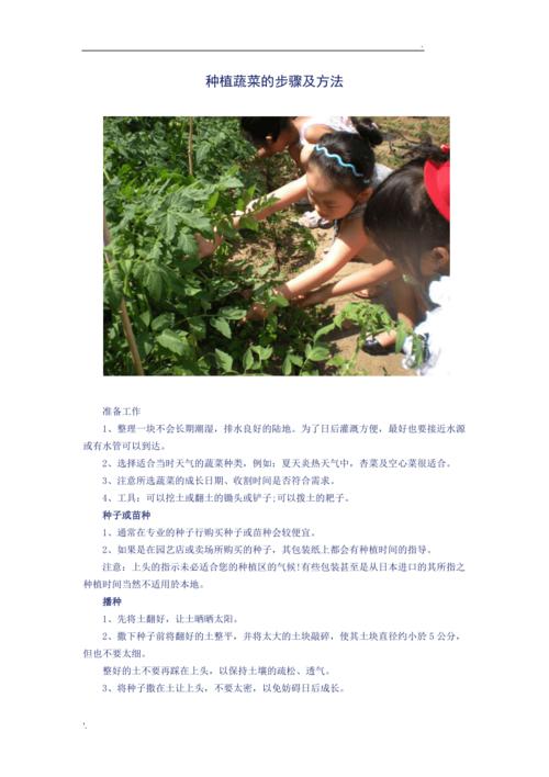 东营农村蔬菜种植方法介绍的相关图片