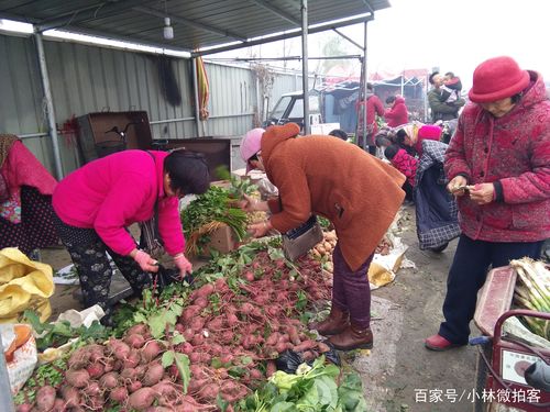 农村2元一斤蔬菜的相关图片