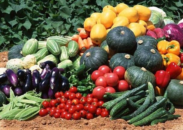 农村人最喜欢吃的蔬菜水果的相关图片