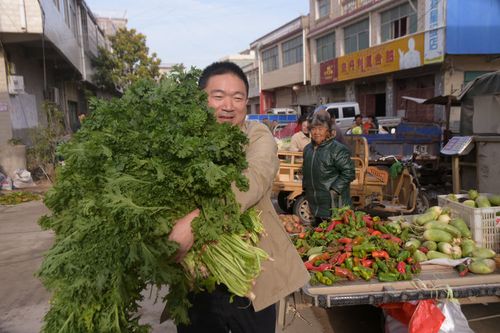 农村卖蔬菜视频大全集最新的相关图片
