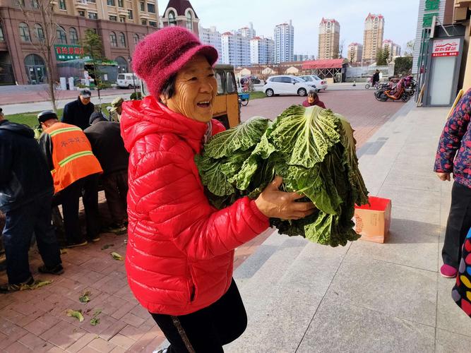 农村婆婆拎蔬菜的相关图片