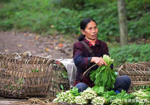 农村母子卖蔬菜的相关图片