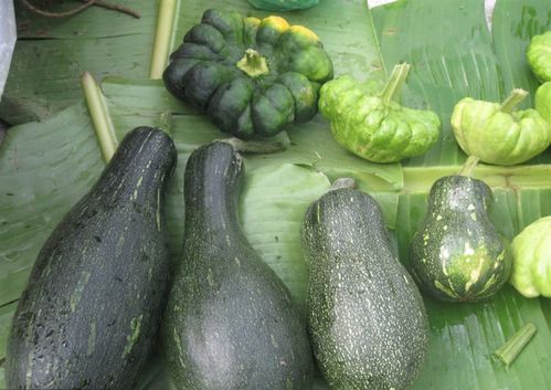 农村瓜果蔬菜有哪些品种的相关图片