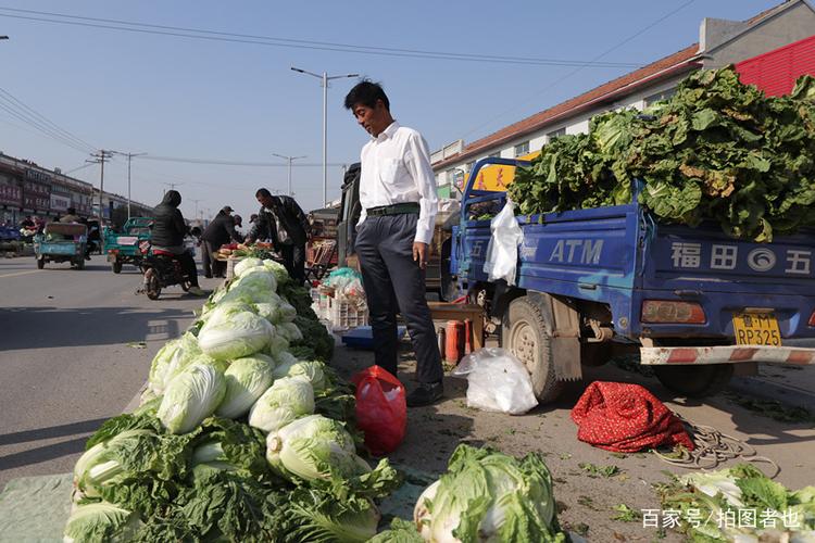 农村统一购买蔬菜解决方案的相关图片