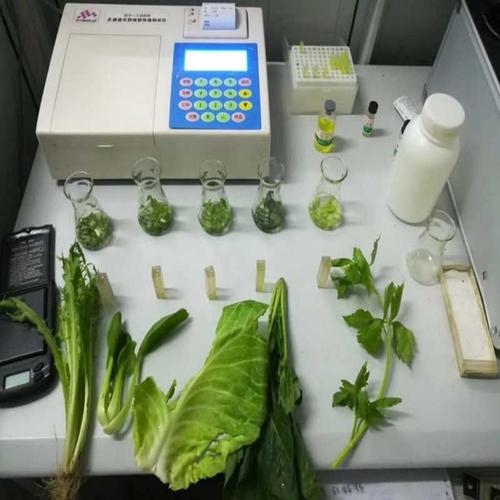 农村蔬菜检测设备的相关图片