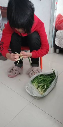 农村阿姨给女儿摘蔬菜吃的相关图片