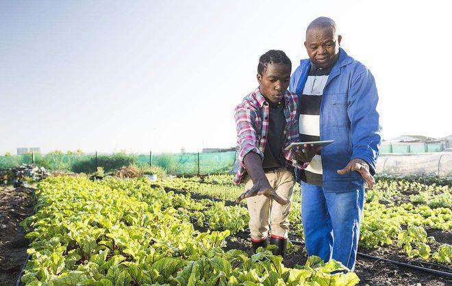 小伙帮助非洲农村种植蔬菜的相关图片