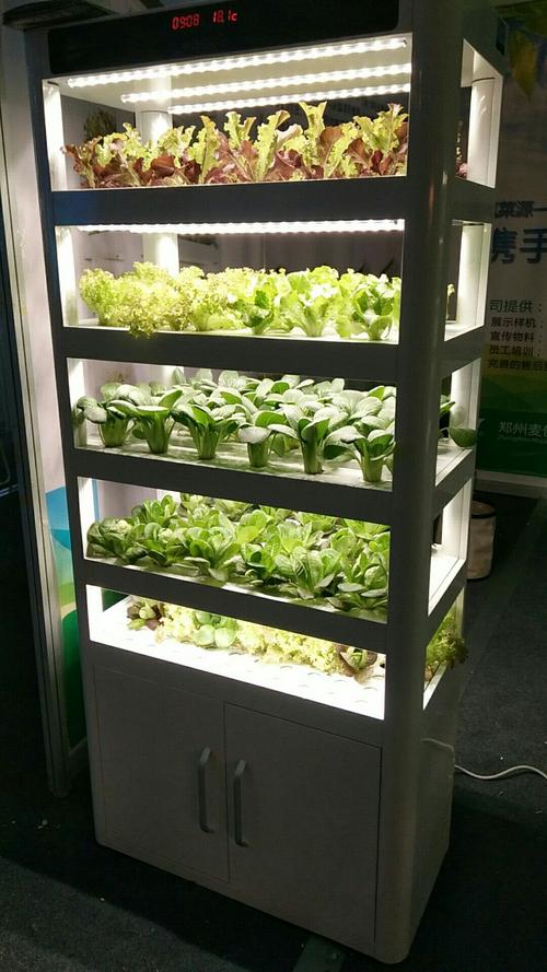 枣庄农村蔬菜种植设备的相关图片