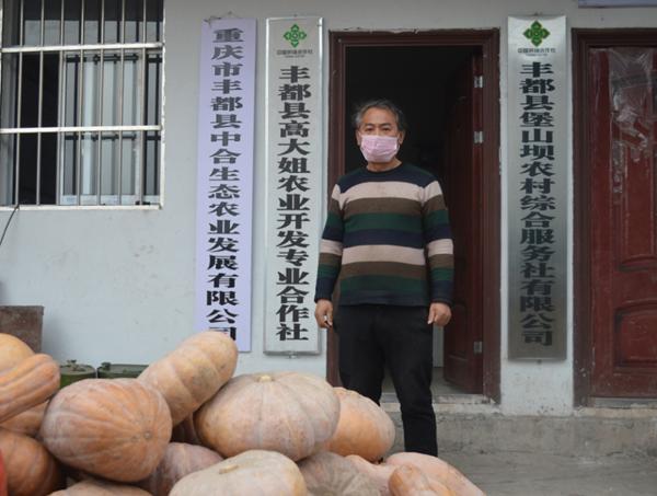 武汉农村捐赠蔬菜给政府的相关图片