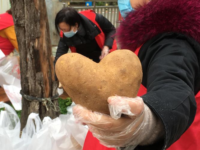 武汉农村电商爱心蔬菜的相关图片