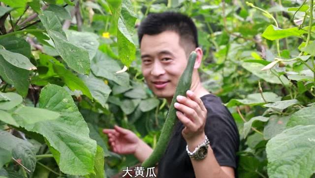湖北农村小伙吃蔬菜视频的相关图片