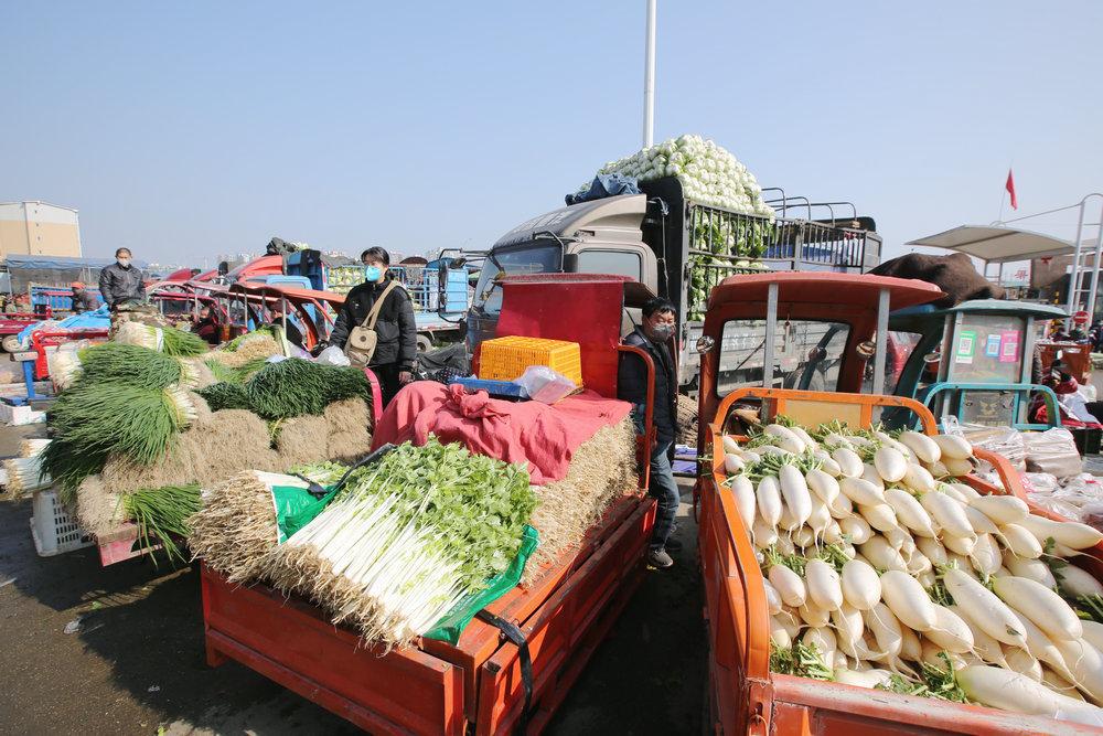 潼南农村人蔬菜批发市场的相关图片