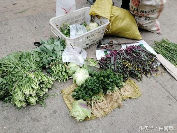 西宁农村卖蔬菜的相关图片